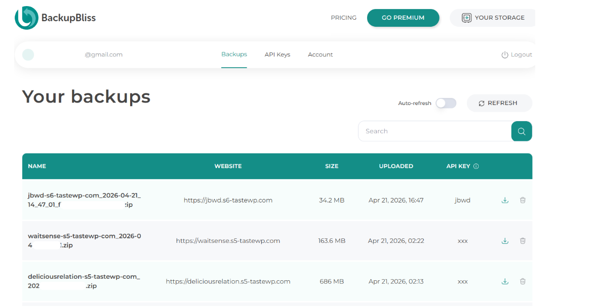 Freelance WordPress Web Design - backupbliss2